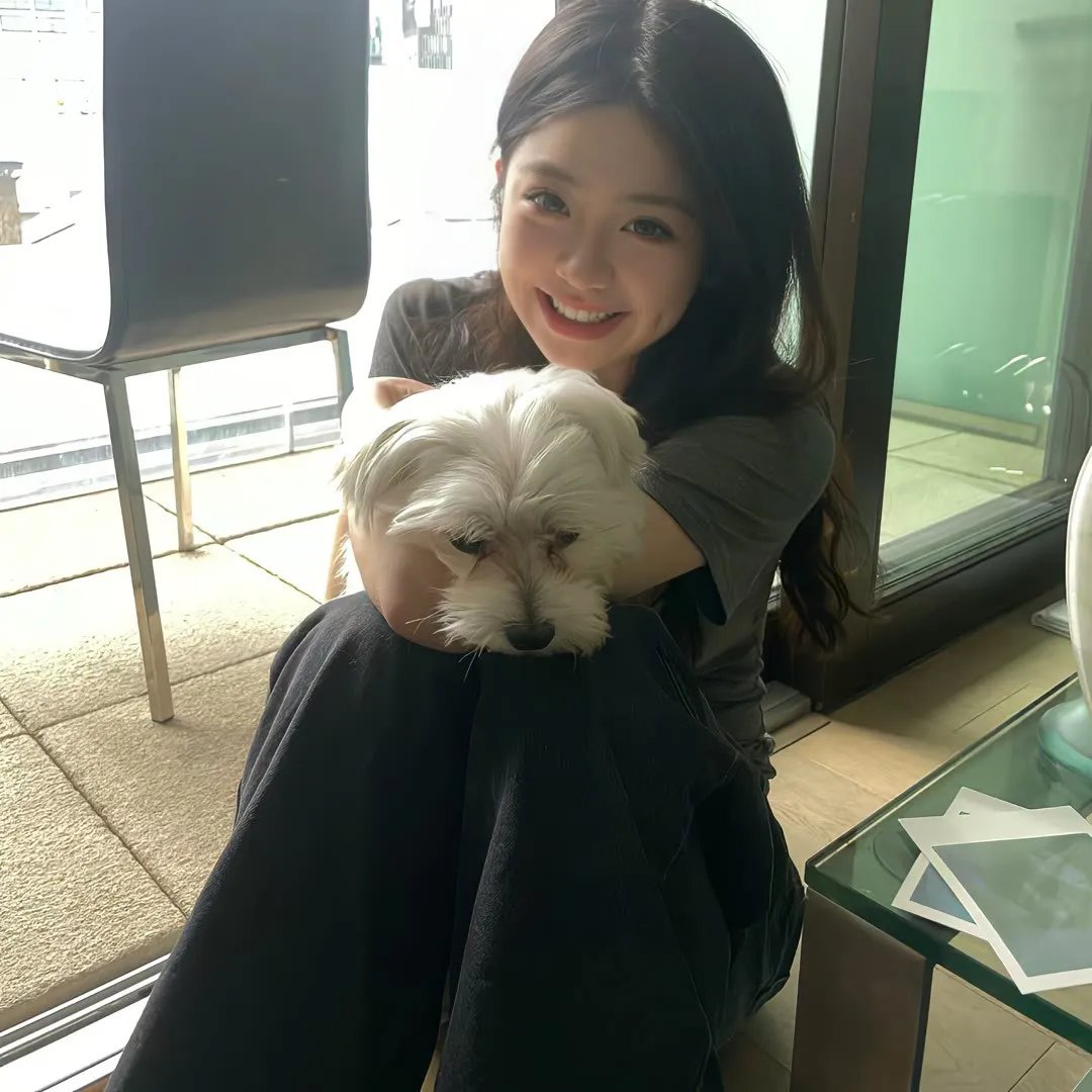 秀逗魔导士Premium