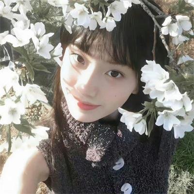 绿洲2024封面